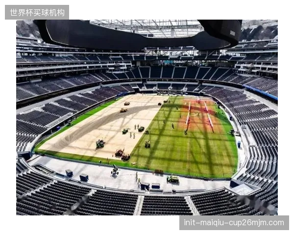 FIFA规定所有赛场必须使用天然草，七座原人工草皮的美式足球场面临大规模改造。